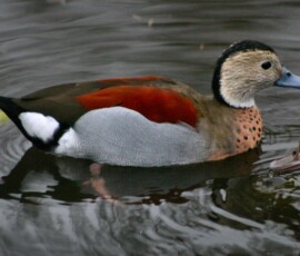 MartinMere2_0183