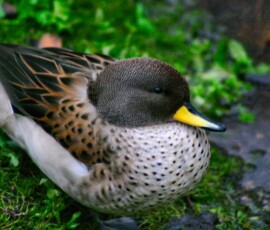 MartinMere2_0203
