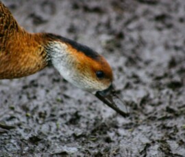 MartinMere2_0377