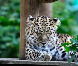 WMSP_1610
