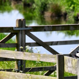 MartinMere_0212