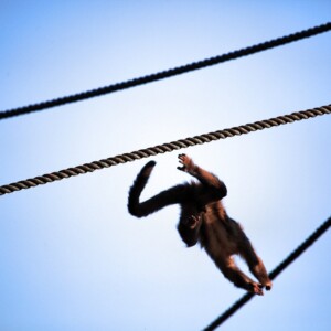 SLWP2_0428