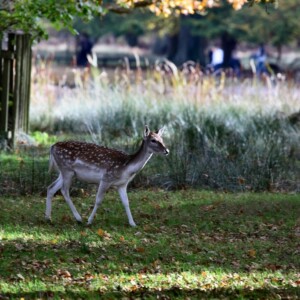 DunhamMassey_0018