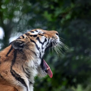 PortLympne_1763