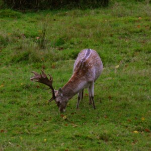 LymePark_0224