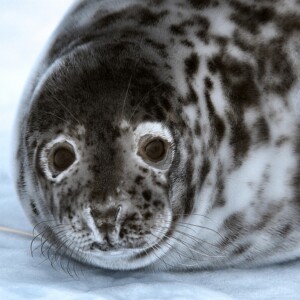 DonnaNook_0188