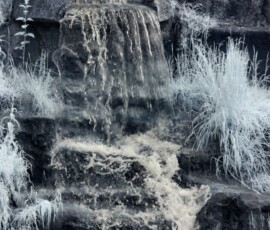ChesterZoo11_0312